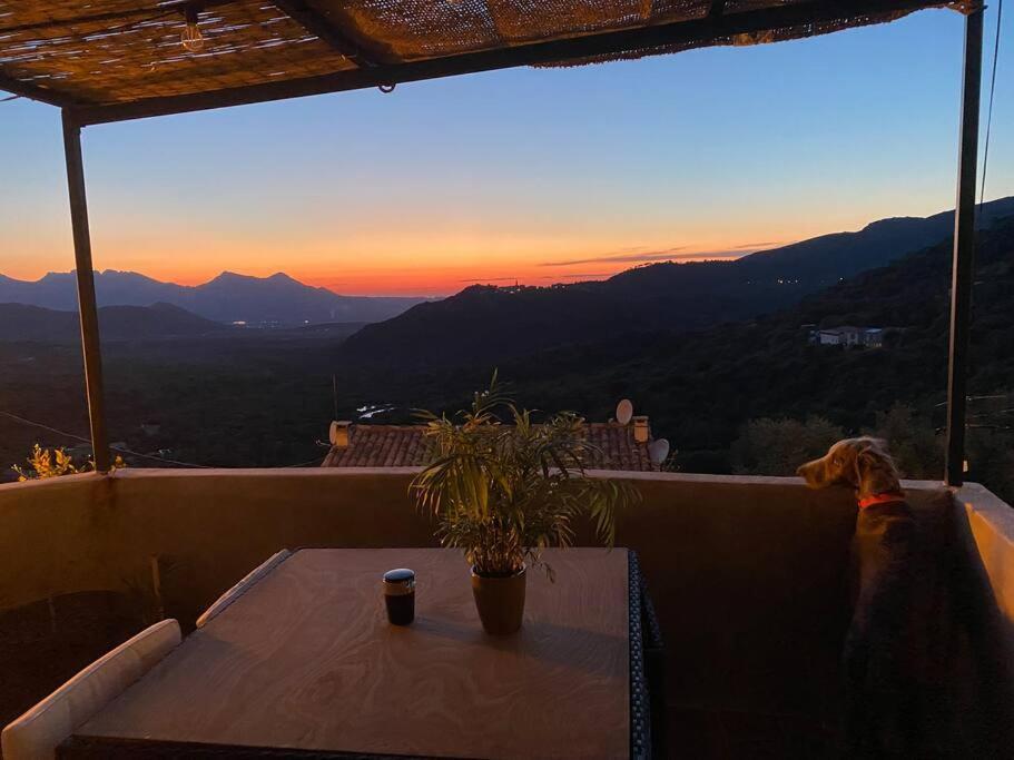 Maison De Caractere, Zilia, Au Pied Du Montegrossu 外观 照片